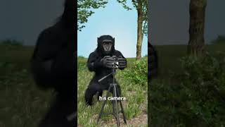 Tips To Save A Dangerous Plane #fyp #meme #funny #zackdfilm #learning #teaching #survival