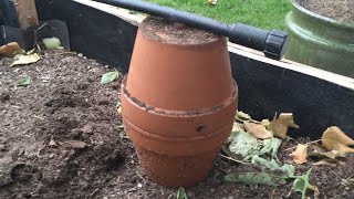 Making and Installing Ollas in the Garden  an Ancient Watering System