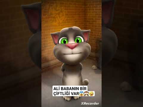 ali babanın bir