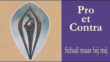 Schuil maar bij mij - Pro et Contra