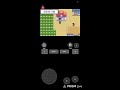 Pokemon Sapphire "Rusturf Tunnel"