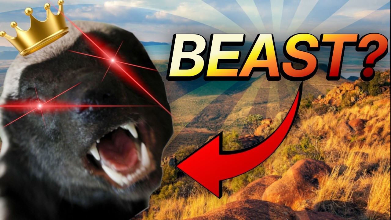 I Investigated the Most Insane Animal on Earth