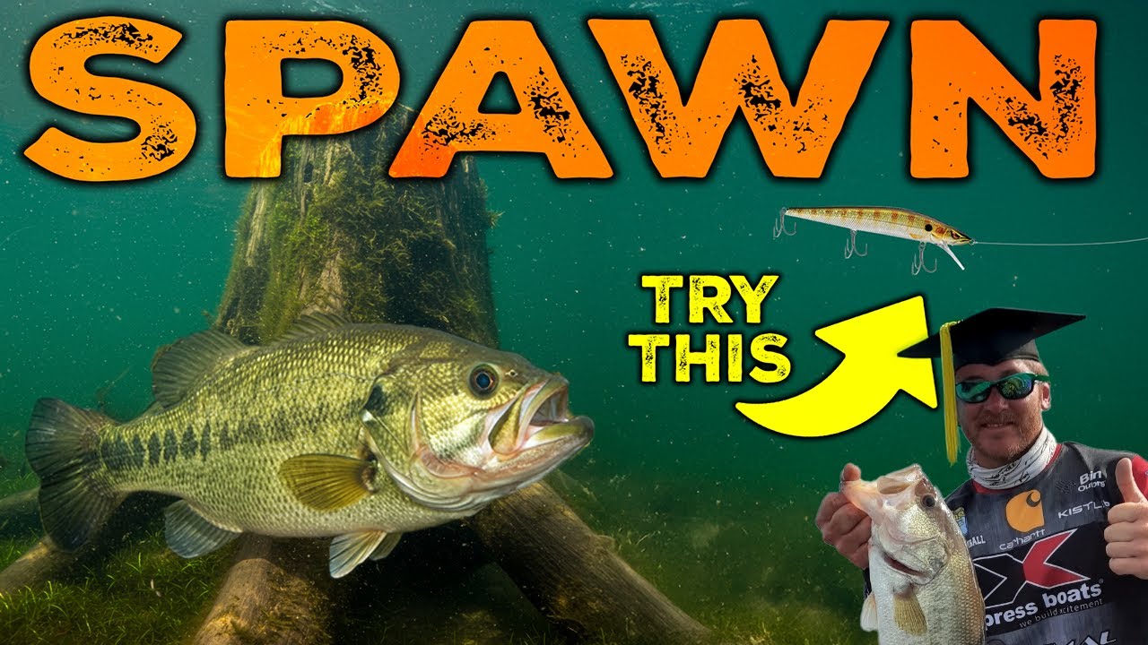 Pre-Spawn Bass Fishing Secrets! TRIGGER Giant Bites w/ Jerkbaits