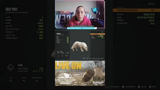 First albino wolf #gaming #hunting #thehuntercallofthewildgameplay