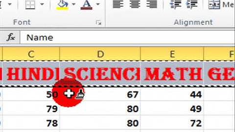 Learn How To Use Format Painter In Microsoft Excel 2010