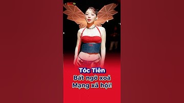Tóc Tiên Bất Ngờ "Biến Mất" Khỏi Mạng Xã Hội? | Đời Sống Showbiz #toctien #tóctiên