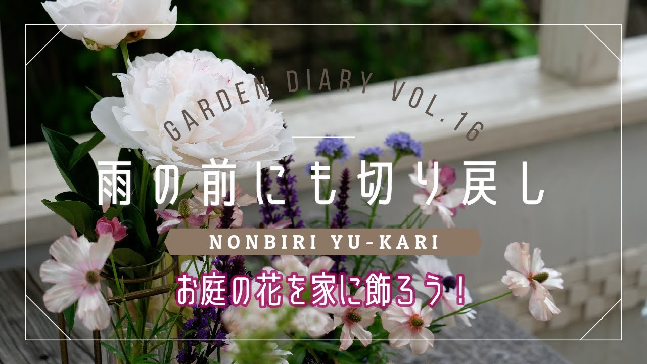 【F】切花 生花【季節の庭花あれこれ】 切り戻しで花数倍増♪庭植え切花飾り♪実例3種 2022 5 24 vol 16 - YouTube