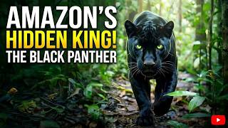 The Silent Guardian The Black Panther of the Amazon