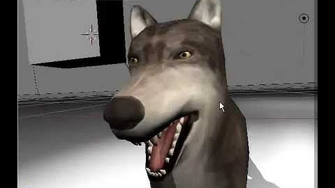 Wolf Rigged and Game-Ready - WIP 25 - Blender