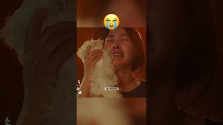 Pets Visit Their Owners In Dreams After They Die   Ft Kamin shorts