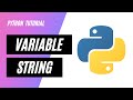 Variable assignment &amp; String in Python | len function | Python Bangla Tutorial #5
