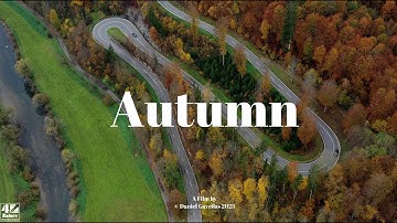 Autumn in Black Forest Germany