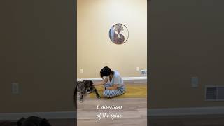 6 directions of the spine #beginneryoga #catcow #sidebend #twist #spinalhealth #yoga #movement #move