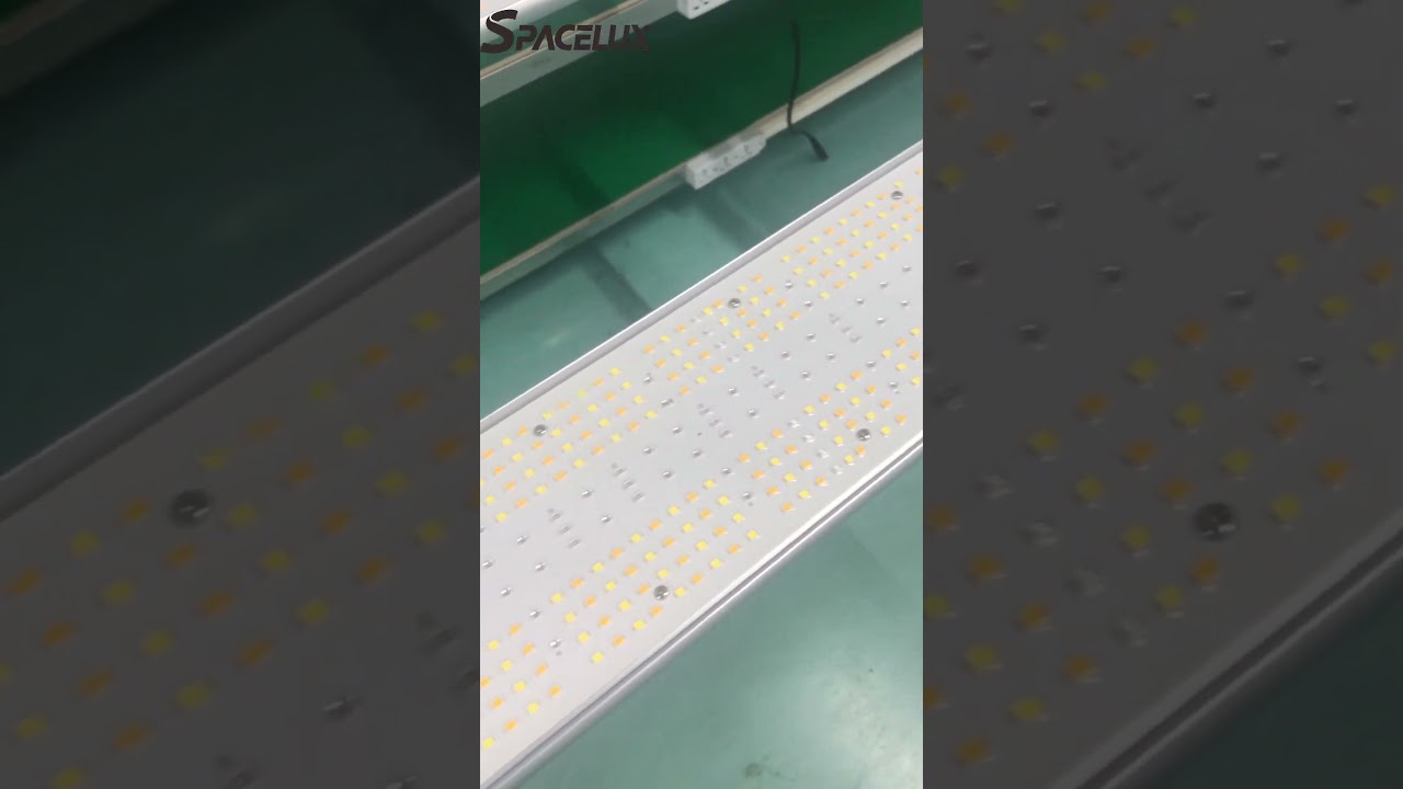 LED Grow Light 1200w 