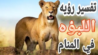 تفسير رؤيه اللبؤه انثي الأسد في المنام للرجل والمرأه