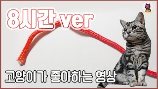 [8시간/중간광고x] 😺고양이가 반응하는 오색노끈 화면을 고양이에게 보여주세요! (풀벌레 울음소리)/고양이가 좋아하는 소리와 음악 screenshot 1