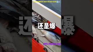 #fishing Catching MONSTER Tuna In The Deep Ocean! 🌊🐟 #shorts