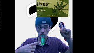 Does The Dollar Tree Drug Test Work (Let’s Find Out) 💨 #foryou #cannabiscommunity420