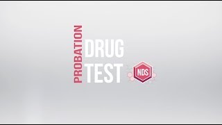 Probation Drug Testing  Probation Alcohol Testing  An Overview