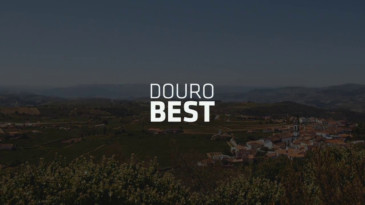 Douro Best Tour