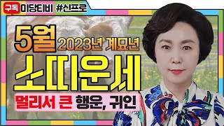 2023년 소띠 5월운세, (27세, 39세, 51세, 63세, 75세), 금전운, 문서운, 직업운, 애정운…