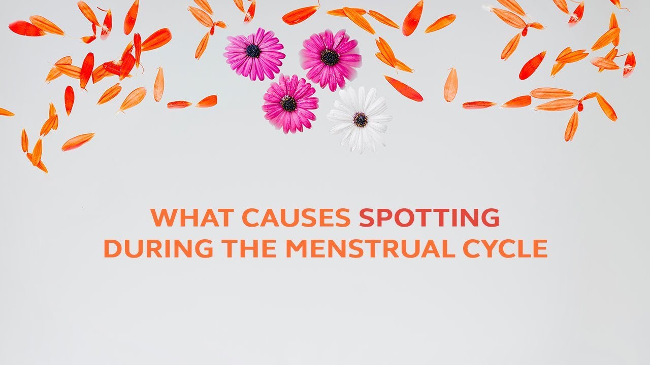 What Causes Spotting During the Menstrual Cycle? YouTube