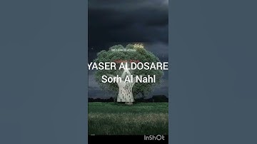 تلاوة نادرة تهز القلوب | والخيل والبغال والحمير لتركبوها | ياسر الدوسري
