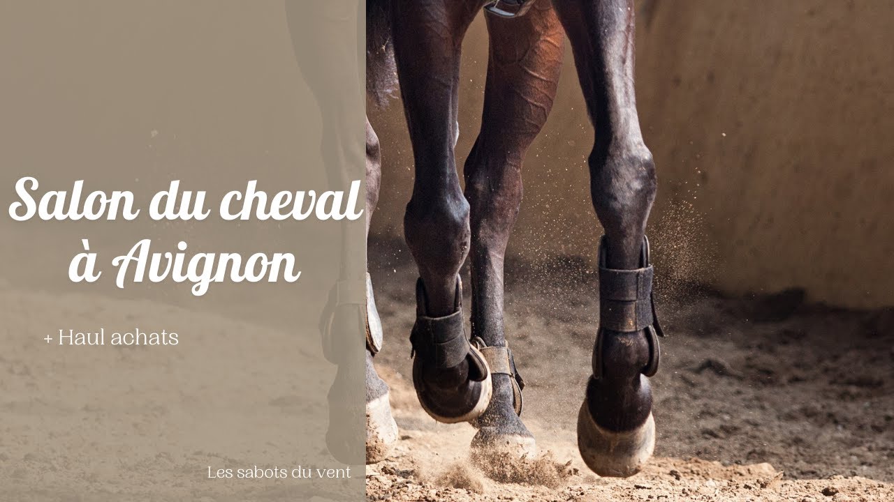 Vlog : Salon du cheval à Avignon + Haul !