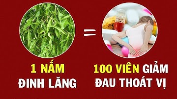Đẩy Lùi Cơn Đau Thoát Vị Đĩa Đệm Nhanh Gấp 5 Lần So Với Uống Thuốc Bằng Lá Đinh Lăng