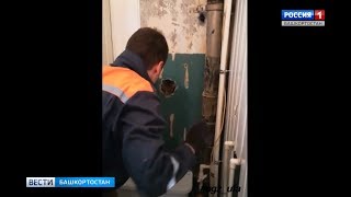 В Уфе спасатели освободили кошку, которая 12 дней провела в бетонном плену В Уфе спасатели освободили кошку, которая 12 дней провела в бетонном плену