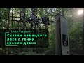 Сказки немецкого леса с точки зрения дрона. Schönwerth Märchenpfad, FPV-drone