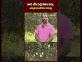 జాబ్ చేసే వచ్చే జీతం కన్నా ఎక్కువ సంపాదించవచ్చు | Natural farming | Mega9Agri