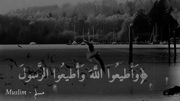 واطيعوا الله واطيعوا الرسول بصوت القارئ رعد الكردي |تلاوة تريح قلب 💙|أنصت وسمع لكي ترتاح 😌🎧