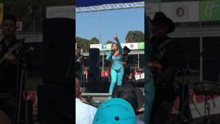 Abultando Ala Vieja Pioja De Carmen Jara Canta Viola Pioja Vieja Fea Salinas California 2017