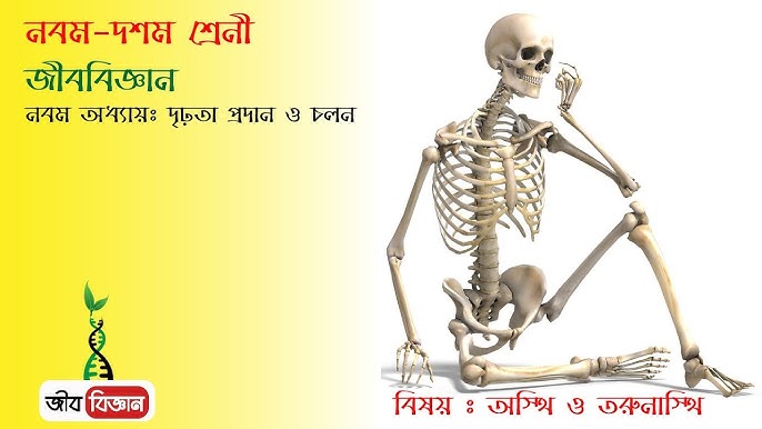 Nijnevartovsk ayollar uchun porno Yalangoch Natasha Guseva va Alisa Selezneva