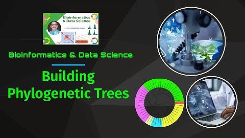 Phylogenetic Tree Construction Python
