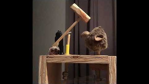 Pltw 8.2 Automata design challenge