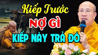 Kiếp Trước Nợ Gì Kiếp Này Trả Đó - Phật Dạy Nhân Quả Báo Ứng Không Trừ Một Ai l Thầy Thích Thái Minh