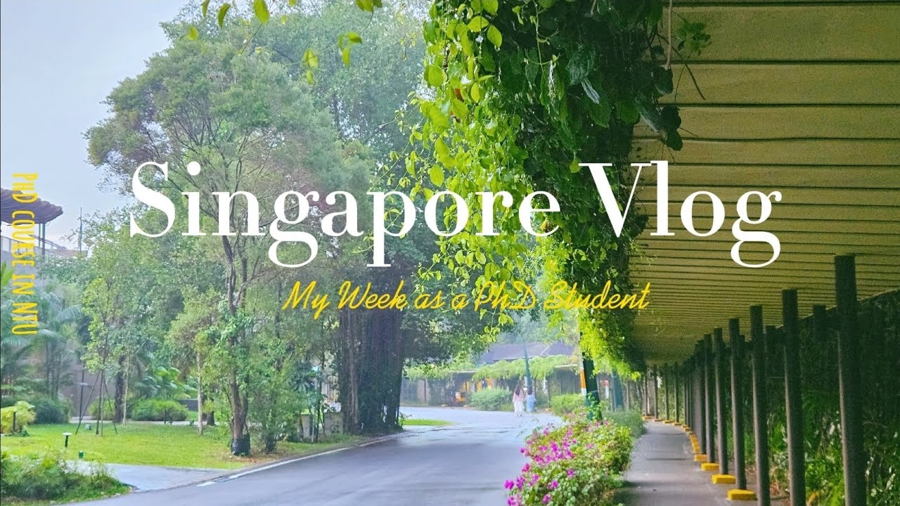 Vlog ep#16 대학원생 브이로그|싱가포르 유학|센토사에서 카공|싱가포르 한식 맛집가기|랩미팅과 기말고사에 치이는 나날