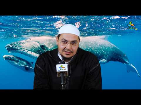 وكذلك ننجي المؤمنين الأستاذ نبيل امال