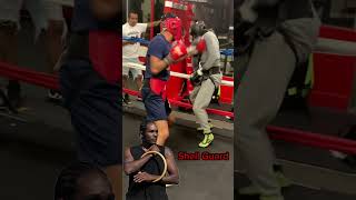 Shell Guard - WuGong Boxing Technique #fightingtechniques #boxingmoves