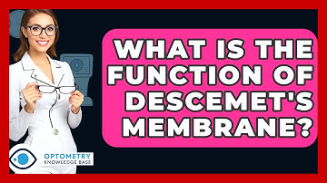 What Is The Function Of Descemet