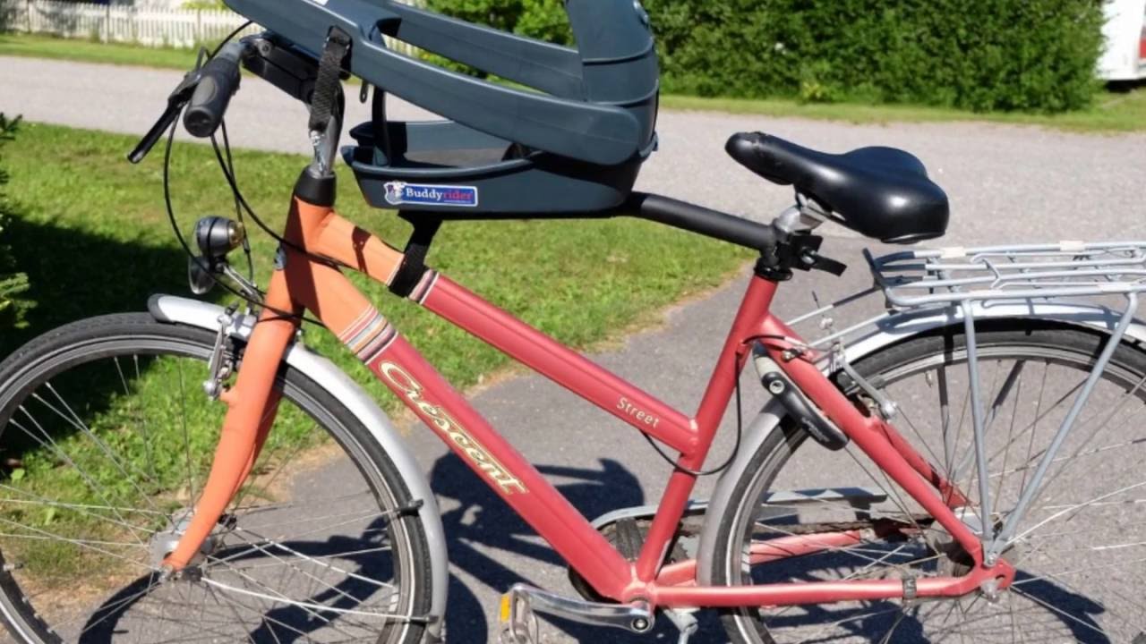 buddyrider bicycle pet seat