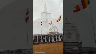 තුන් ලෝකයටම ඇති ස්වර්ණමාලි සෑ රජුන් 🙏🙏🙏🇱🇰🇱🇰🇱🇰 #travel