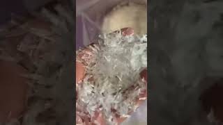CAS 102 97 6 视频
