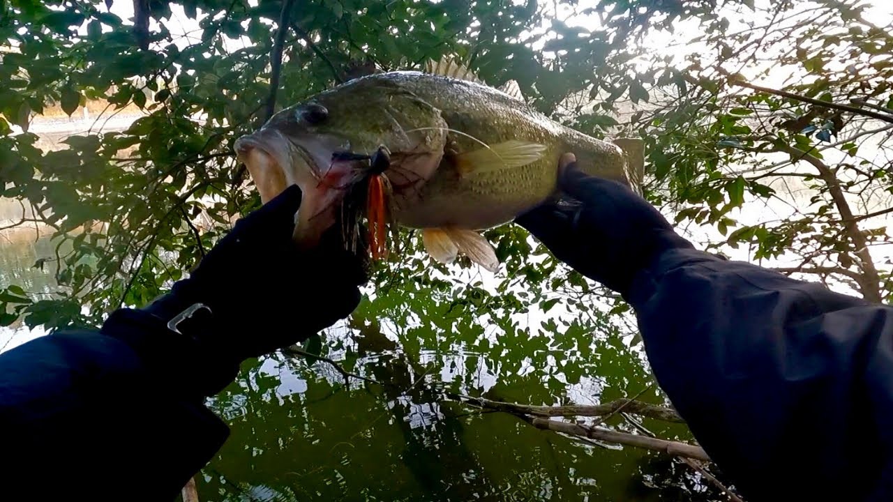 ラバージグでバスを釣る方法、実釣しながら解説します