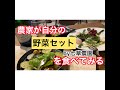 「農家が自分で野菜セットを食べてみる」