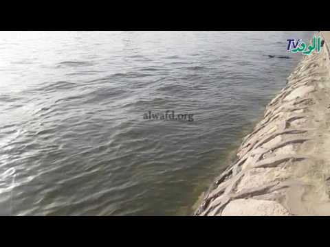 ارتفاع منسوب مياه النيل