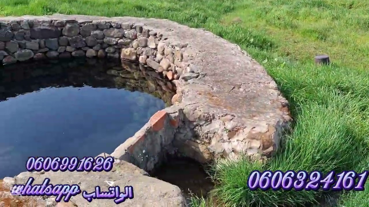 قطعة ارضيه 2هكتار ونصف ملكية فيها دار و2بيور وعدد من الأشجار واصلا الضوء والطريق في ملوسة نواحي طنجة