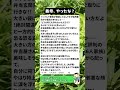 【嫁いびり】義母、やったな？#義母エピソード #嫁姑問題 #家族愛
